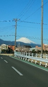 富士山